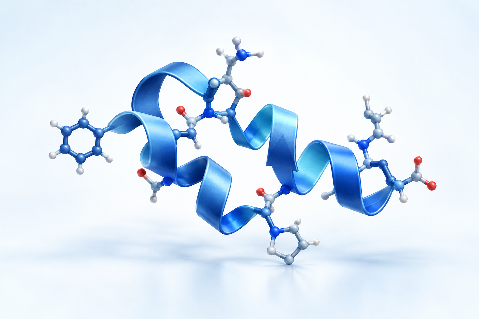Conceptual image of a peptide chain and its folded structure